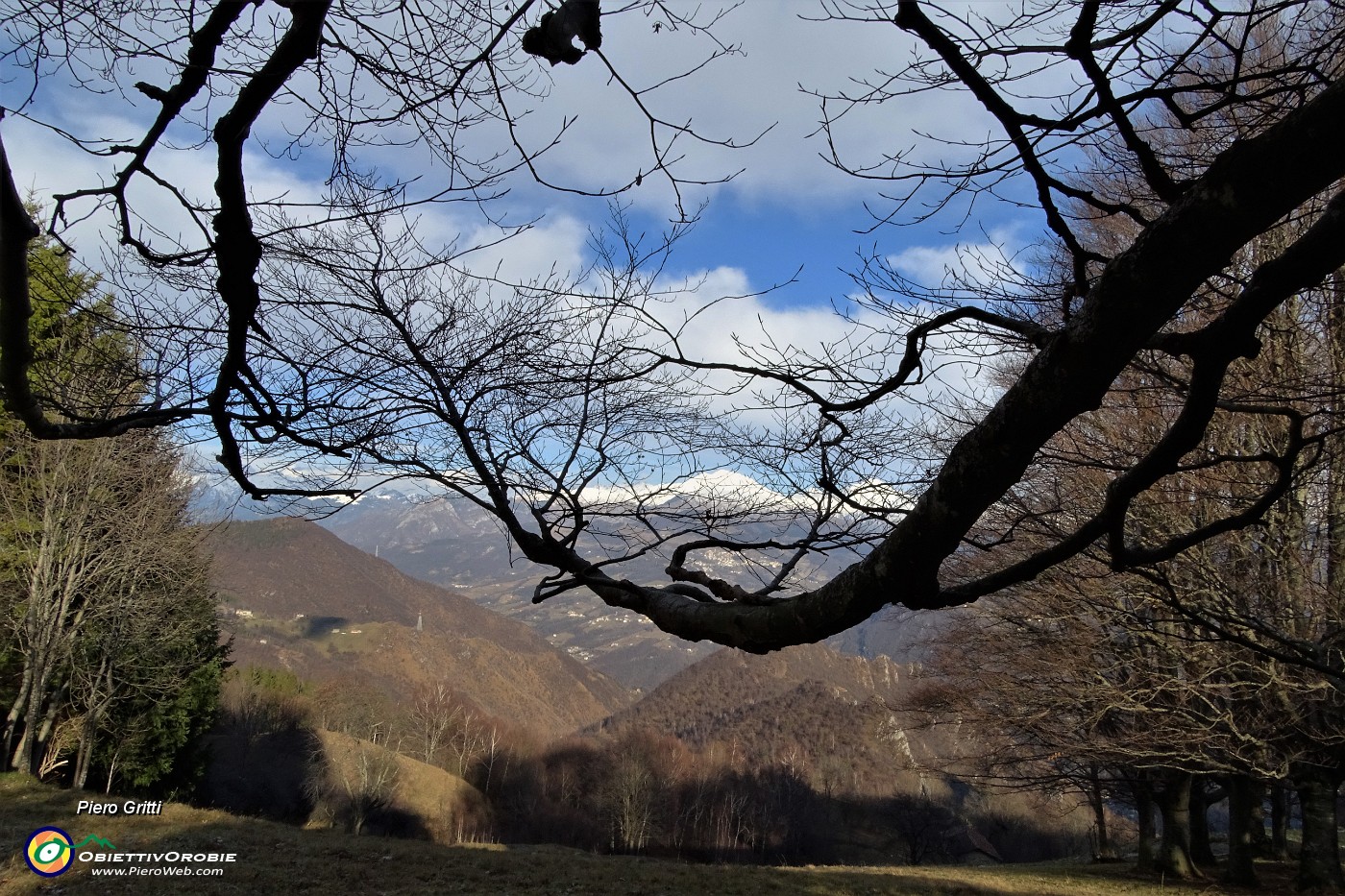 35 Pizzo Arera incorniciato dai rami del roccolo.JPG